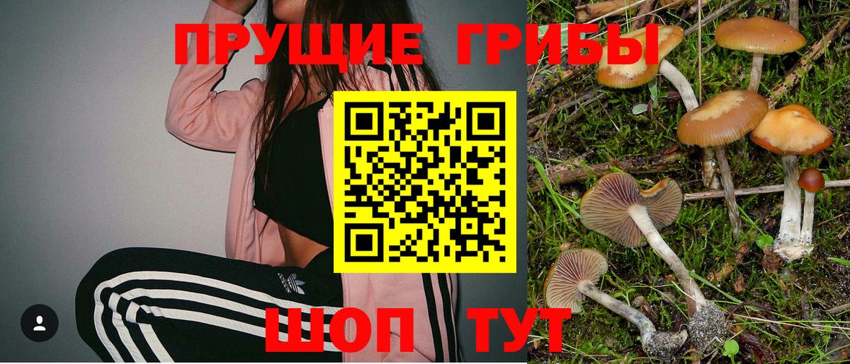 Камышлов  Псилоцибиновые грибы мухоморы  Вход с VPN 