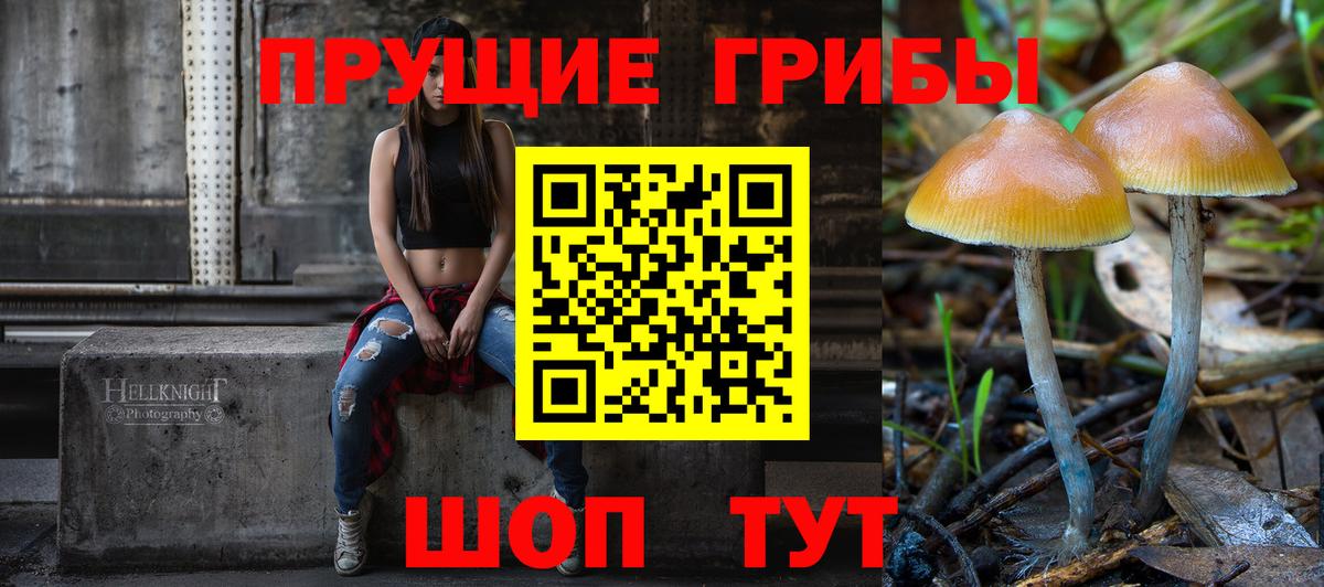 Псилоцибиновые грибы ЛСД Камышлов